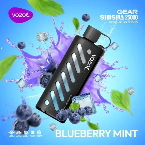 VOZOL Blueberry Mint GEAR 25000
