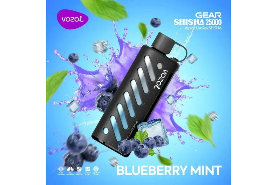 VOZOL Blueberry Mint GEAR 25000