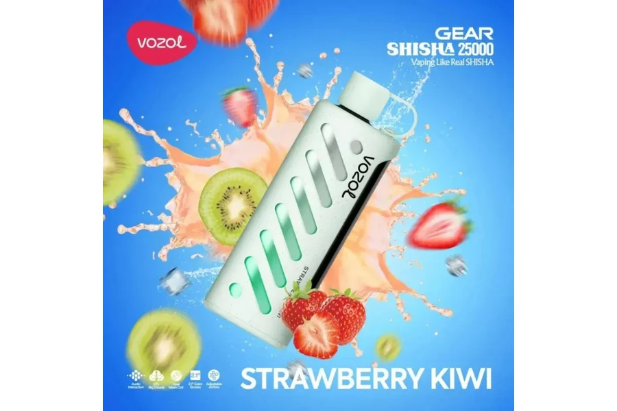 VOZOL Strawberry Kiwi GEAR 25000