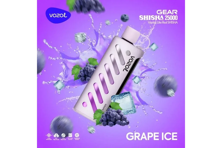 VOZOL Grape Ice GEAR 25000