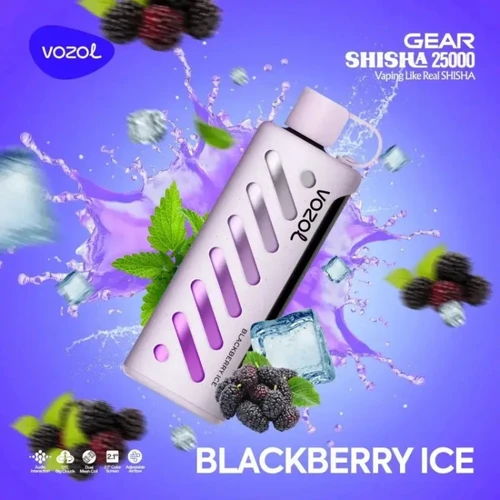 VOZOL Blackberry Ice GEAR 25000