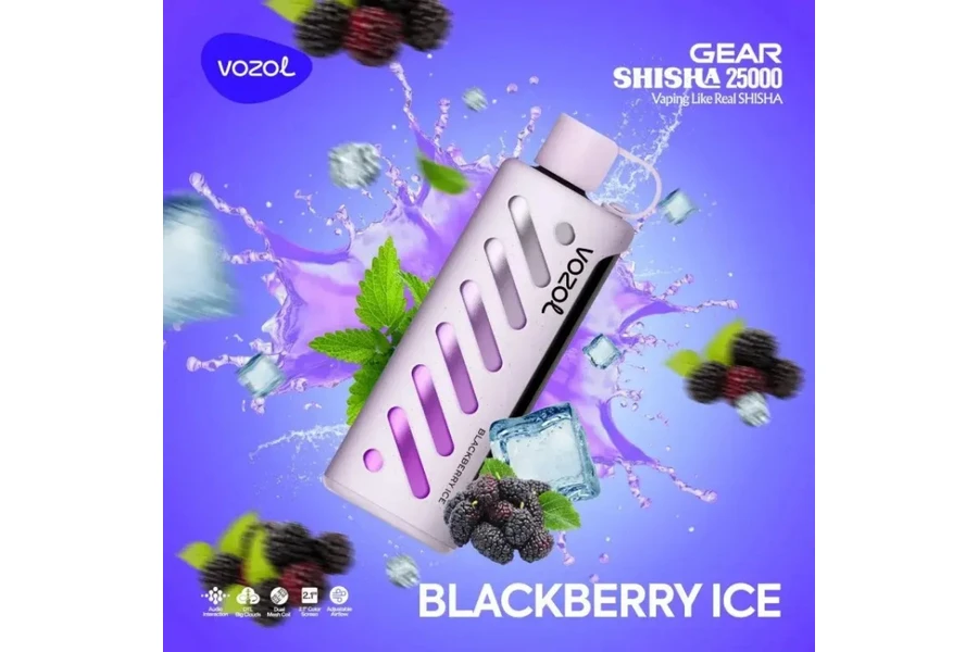 VOZOL Blackberry Ice GEAR 25000