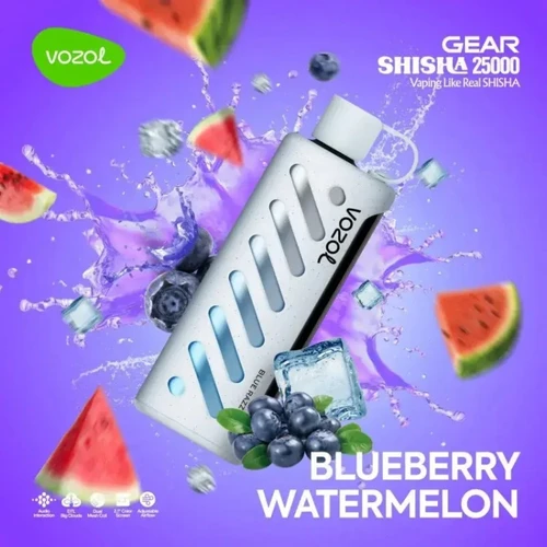 VOZOL Blueberry Watermelon GEAR 25000