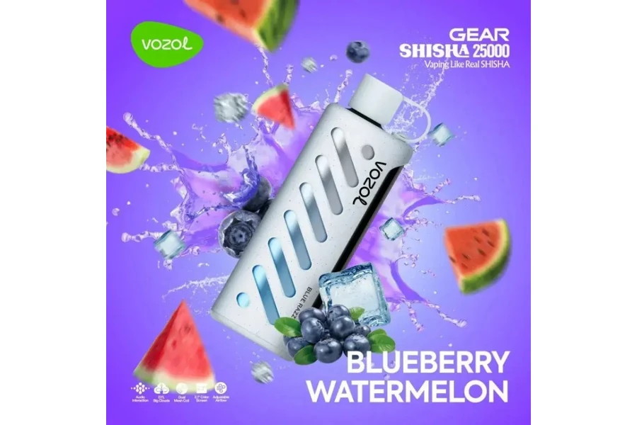 VOZOL Blueberry Watermelon GEAR 25000