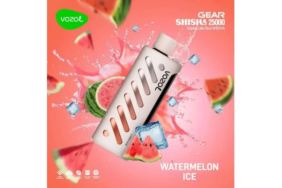 VOZOL Watermelon Ice GEAR 25000