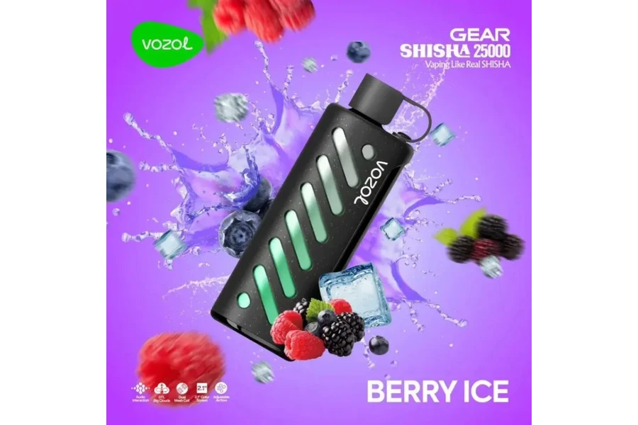 VOZOL GEAR 25000 Berry Ice