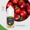 Themis Apple (30ML)