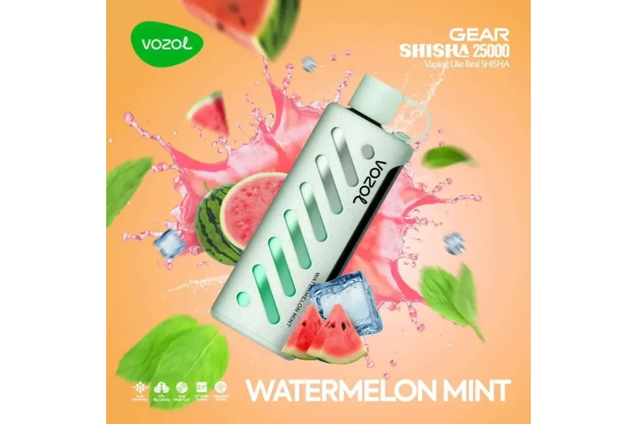 VOZOL GEAR 25000 Watermelon Mint
