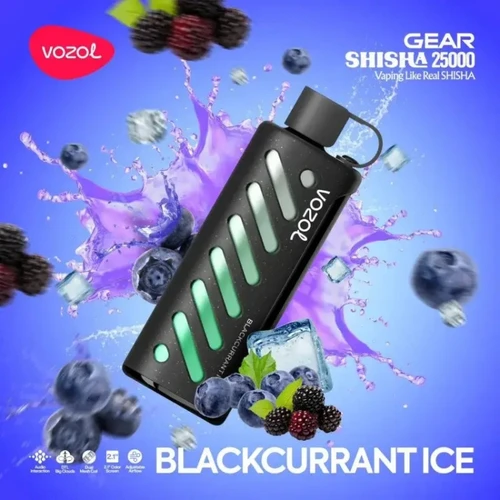 VOZOL Blackcurrant Ice GEAR 25000
