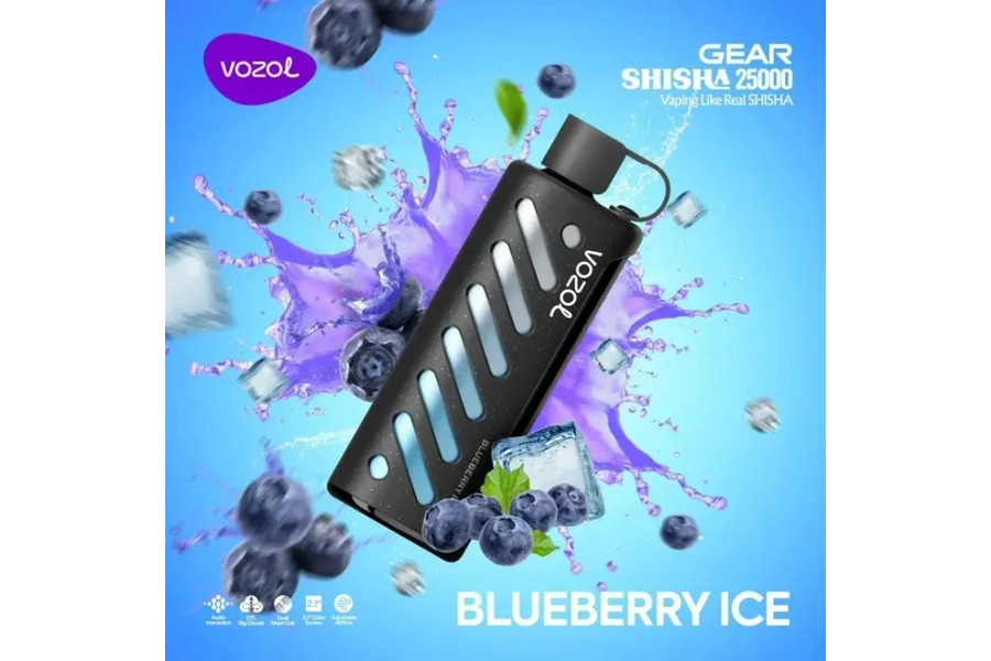 VOZOL GEAR 25000 Blueberry Ice