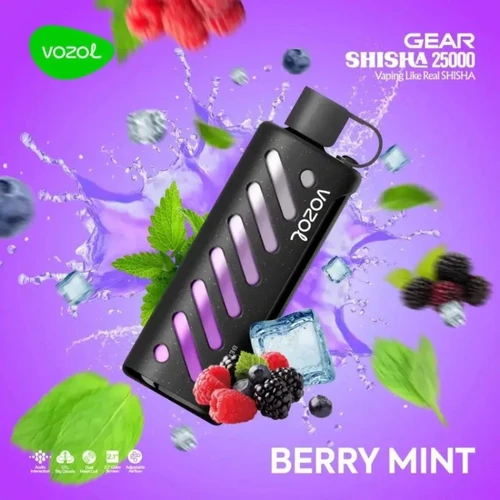 VOZOL Berry Mint GEAR 25000