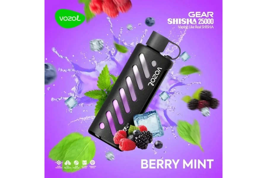 VOZOL Berry Mint GEAR 25000