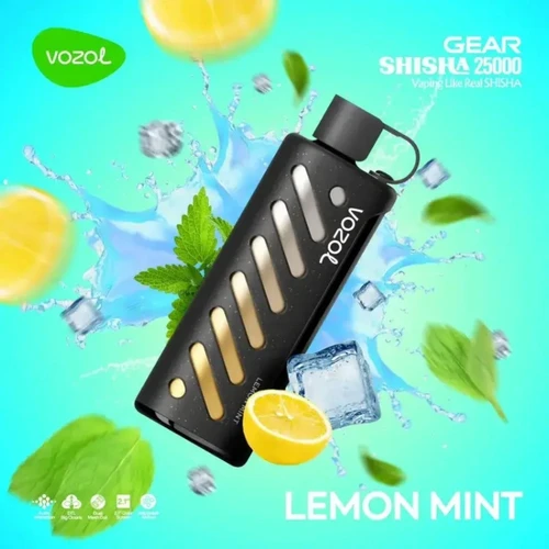 VOZOL Lemon Mint GEAR 25000