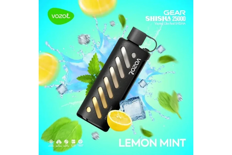 VOZOL Lemon Mint GEAR 25000