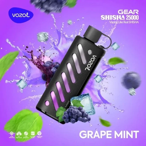 VOZOL Grape Mint GEAR 25000
