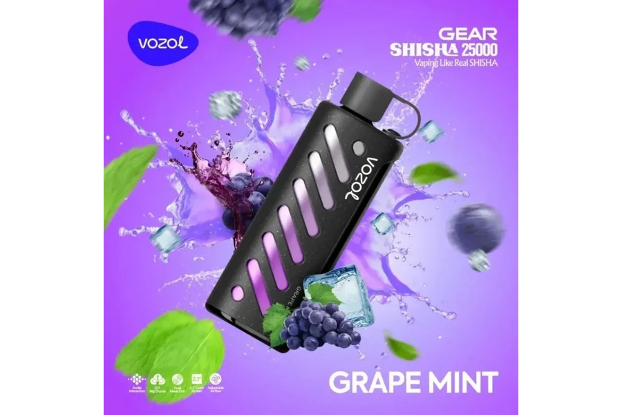 VOZOL Grape Mint GEAR 25000